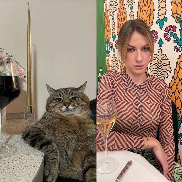 Бритни Спирс разместила в своем Instagram украинского кота Степана. Чем он так популярен