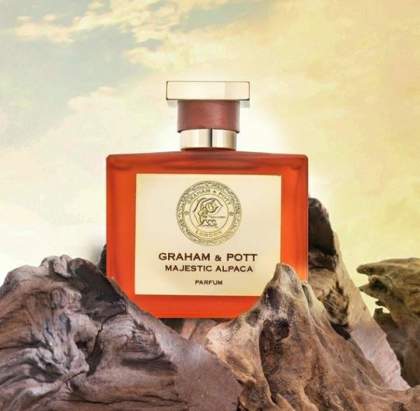 
<p>                        Новый Британский бренд Graham & Pott теперь в России</p>
<p>                    
