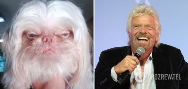 В сети показали собак, поразительно похожих на звезд. Забавные фото