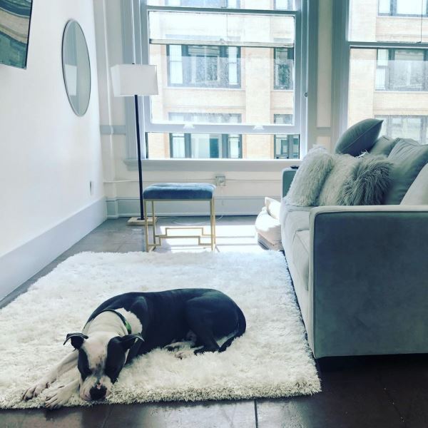 Квартира в Лос-Анжелесе, роскошный кабриолет и собака: как жил новый "Холостяк" до шоу. Фото